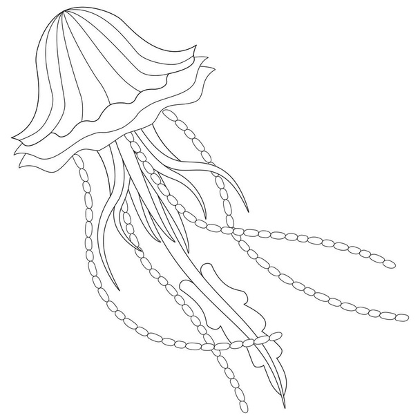 Ilustración de vector en blanco y negro de medusas para colorear - Vector, imagen