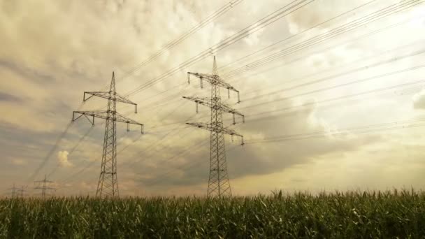Electrical Towers Timelapse - Footage, Video