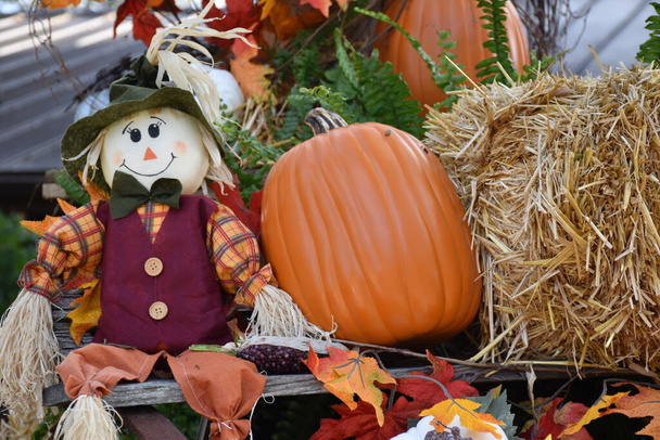 Harvest festival, autumn flowers and pumpkins, decoration, showcase. fall season. holidays. Colorful scarecrow decorations for Halloween and Thanksgiving - Photo, Image