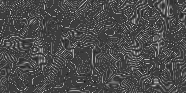 Topographic map with grid. Vector relief map. - Vector, Image