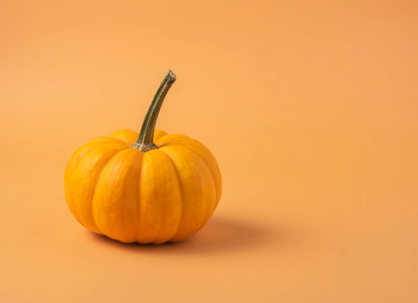 small decorative multicolored pumpkin  on an orange background. Front view and copy space - Valokuva, kuva