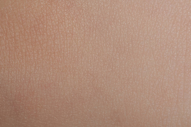 Modello di pelle umana pulita con linee e pori macro vista - Foto, immagini