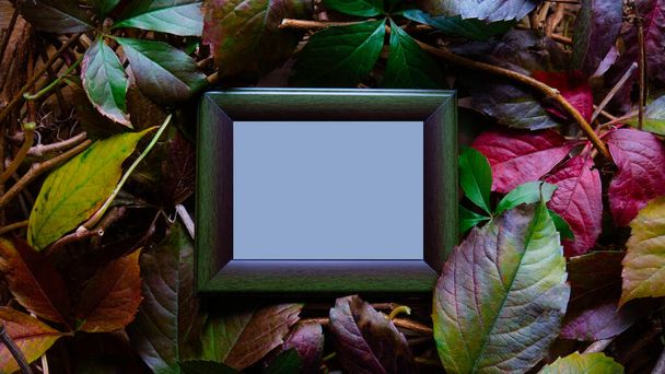 Espacio de copia azul en un marco de madera verde rodeado de coloridas hojas de otoño. - Foto, imagen