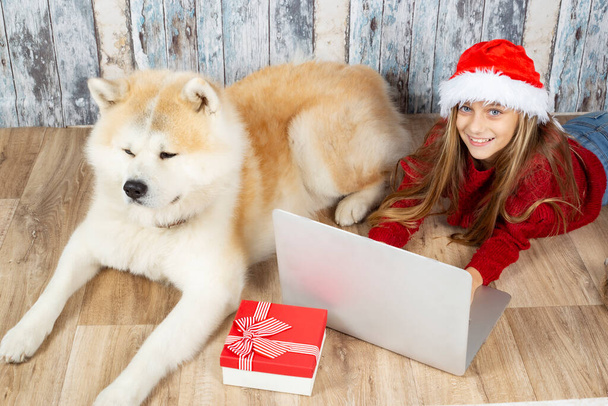girl with laptop and christmas hat celebrates christmas and dog - Photo, Image