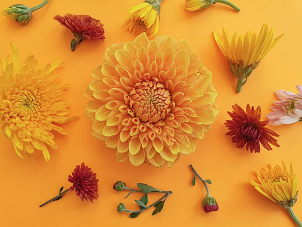 floral arrangement on colored background - Foto, afbeelding