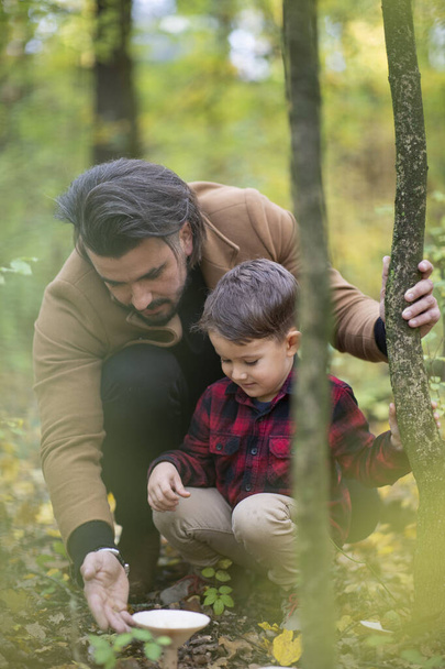 Beautiful family father and son searching for mushrooms in the forest - Foto, Imagem