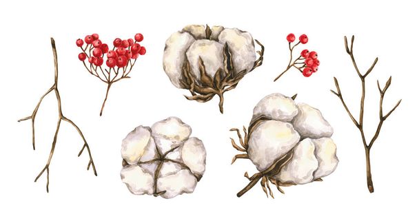Aquarell-Set aus Baumwolle, trockenen Zweigen, Viburnum-Beeren. Handgezeichnete Illustrationen sind isoliert auf weiß. Winterkollektion ist perfekt für Boho-Design, Grußkarte, Innenplakat, Vintage-Druck - Foto, Bild
