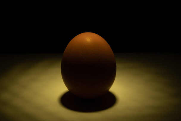 egg standing on the table, illuminated by a spotlight from above in different colors - Фото, зображення