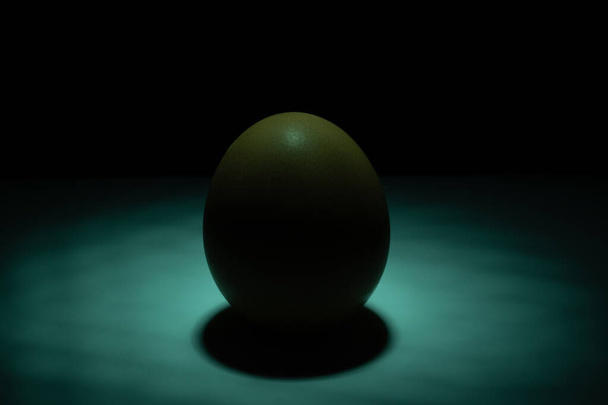 egg standing on the table, illuminated by a spotlight from above in different colors - Фото, изображение