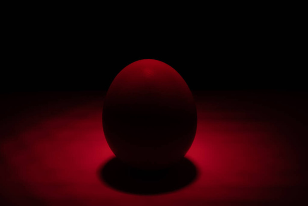 egg standing on the table, illuminated by a spotlight from above in different colors - Fotografie, Obrázek