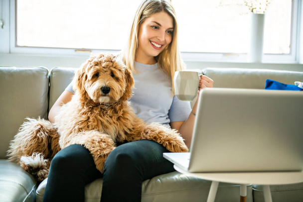 woman with his Golden Labradoodle dog at home drinking coffee - Foto, Imagem