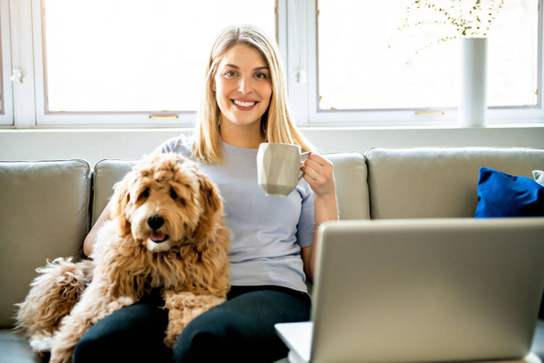 woman with his Golden Labradoodle dog at home drinking coffee - 写真・画像