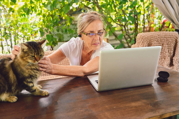 Tecnologia, conceito de pessoas de idade avançada - idosa mulher sênior feliz com casa gato usar fones de ouvido sem fio trabalhando on-line com computador portátil ao ar livre no jardim. Trabalho à distância, educação à distância.  - Foto, Imagem
