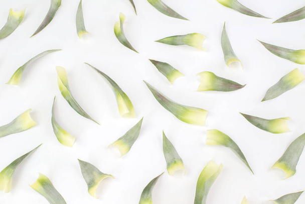Nahtloses Muster und Ananasblätter isoliert auf weißem Hintergrund. Sommerfrüchte für einen gesunden Lebensstil. Bio-Obst. - Foto, Bild