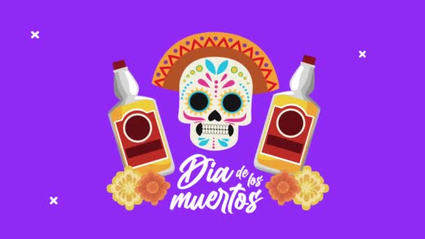 celebração dia de los muertos com chapéu mariachi e garrafas de tequila - Filmagem, Vídeo