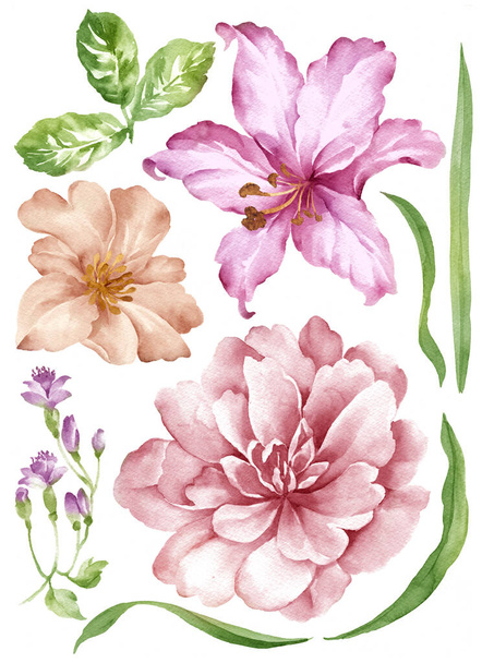 aquarel illustratie bloem set in eenvoudige witte achtergrond - Foto, afbeelding