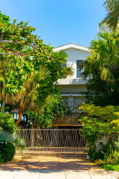 Vertikale Foto Luxus-Haus mit Meer Traubenbaum und Palmen - Foto, Bild