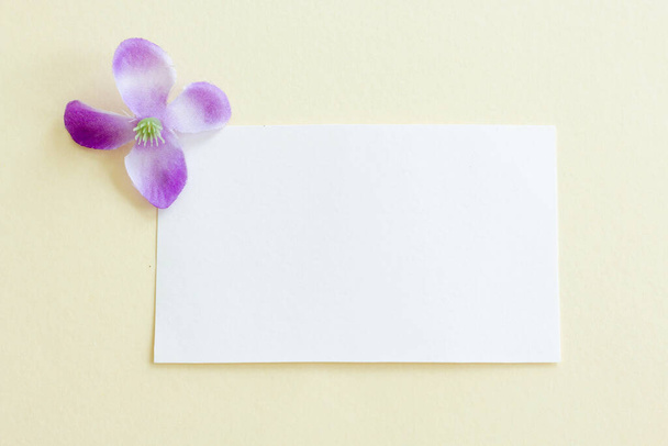 Mockup of a white paper card on pastel background, Creative design for pastel wallpaper. - Foto, Imagem