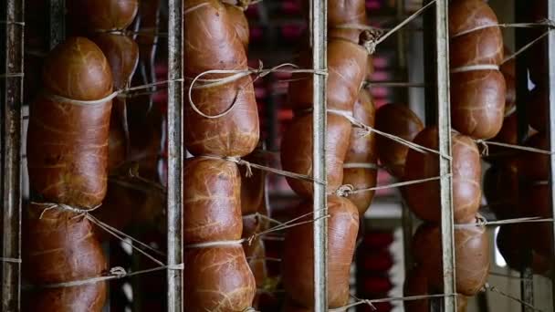 produzione verticale di carne fabbrica magazzino salsiccia - Filmati, video