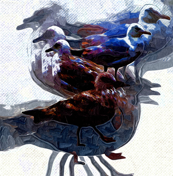 Las aves marinas blancas del Atlántico vuelan en el cielo. Gaviota de playa. Aves marinas, ilustración de arte de dibujos animados de gaviotas - Foto, Imagen