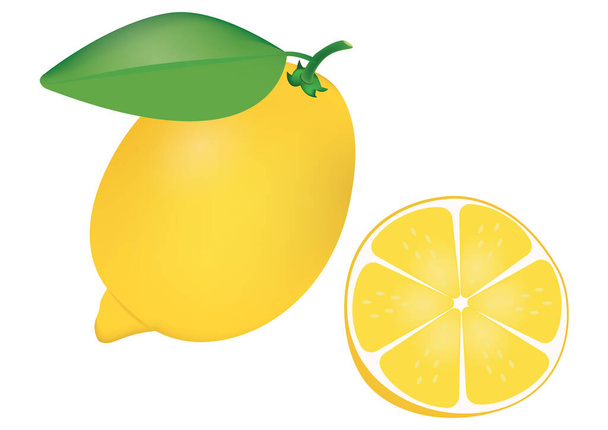 Clipart Realistic Lemon and Half of Lemon - Vector, Image