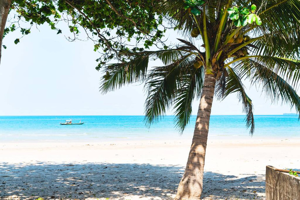 літнє море з листям пальми,sky розслаблююча літня концепція, красивий тропічний фон для подорожей пейзаж
 - Фото, зображення