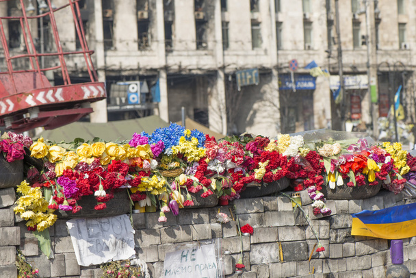 Flores en las barricadas de Kiev
 - Foto, Imagen
