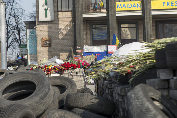 Kukkia barrikadeilla Kiovan
 - Valokuva, kuva