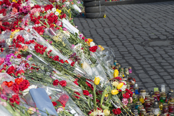 λουλούδια για τα οδοφράγματα του Κιέβου - Φωτογραφία, εικόνα