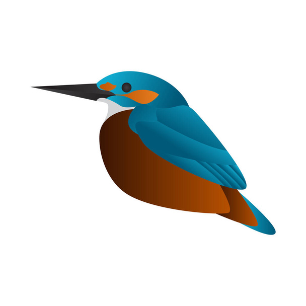 градієнт Kingfisher птах Векторні ілюстрації
 - Вектор, зображення