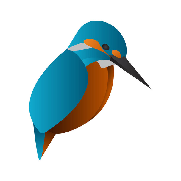 gradiente kingfisher pássaro vetor ilustração - Vetor, Imagem