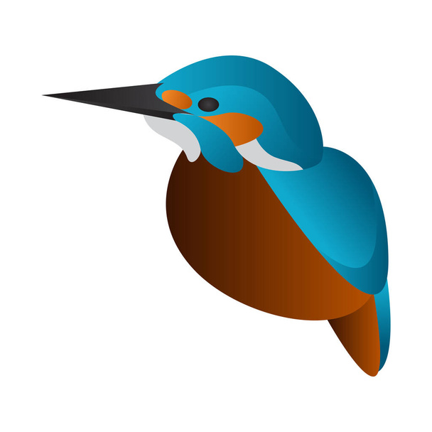 gradient kingfisher bird vector illustration - Vector, Image