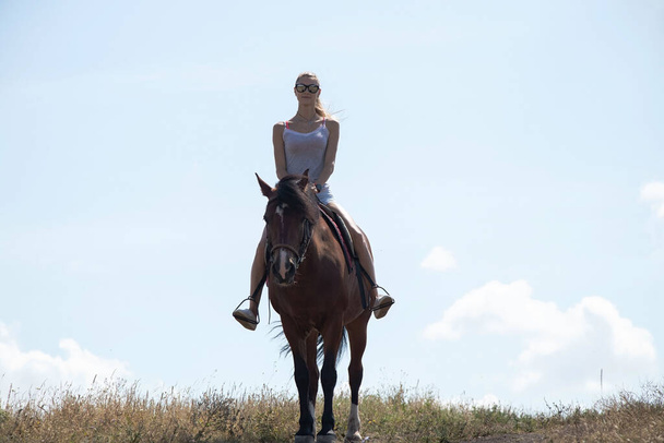 Güneşli bir günde at sırtında oturan bir kız. - Fotoğraf, Görsel