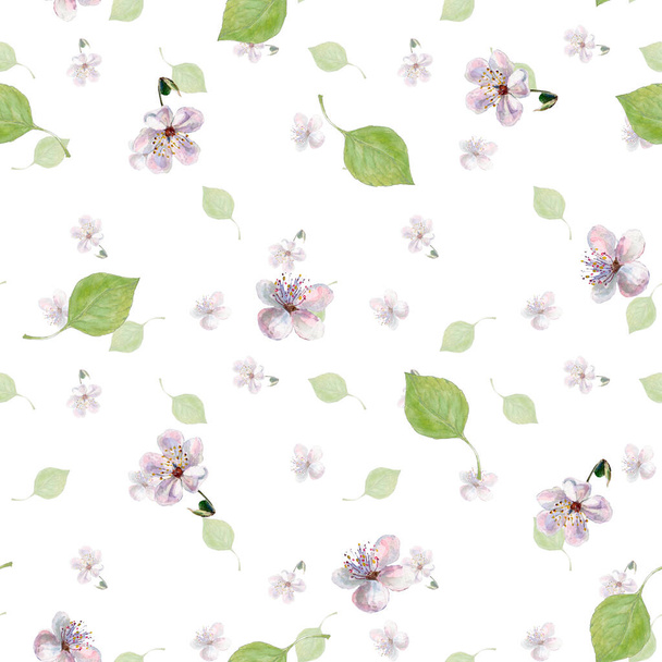 Flowers with leaves painting in watercolor. Spring composition. Seamless pattern on white background. - Photo, image