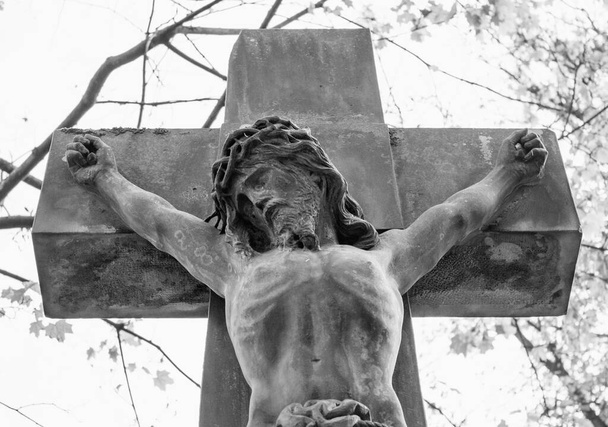 Иисус Христос под крестом. Страдания, боль на лице - Фото, изображение