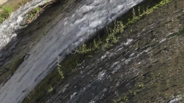 Woda przepływająca przez zaporę bagienną - Materiał filmowy, wideo