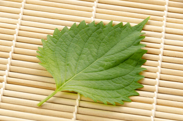 Νωπά πράσινα φύλλα Shiso (perilla frutescens) ή Oba σε στρώμα μπαμπού. - Φωτογραφία, εικόνα