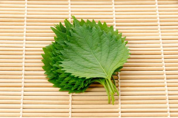 Frischer grüner Shiso (perilla frutescens) oder Oba-Blatt auf Bambusrollmatte. - Foto, Bild
