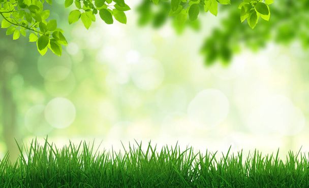 Verde vista natural de las hojas verdes en el parque con la imagen borrosa árboles verdes y la luz del sol bokeh en la mañana. - Foto, imagen