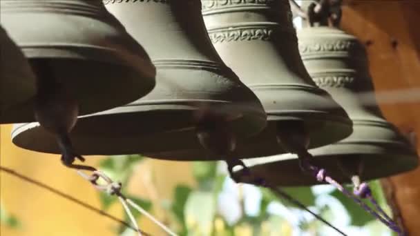 Ein hölzernes religiöses Gebäude - eine Person läutet mehrere Glocken an den violetten Seilen - Filmmaterial, Video