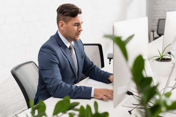 Serious executive using computer, while sitting at table in office with blurred plant on foreground - Photo, Image