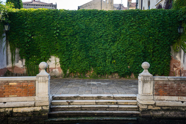 Italia, Venecia, banco sentado frente a un edificio con plantas en la pared - Foto, Imagen