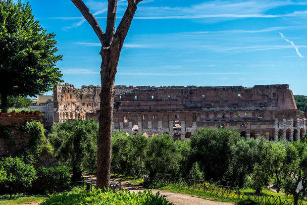 Fasada Wielkiego Rzymskiego Koloseum (Koloseum, Koloseum), znanego również jako Flawski Amfiteatr. Słynny światowy punkt orientacyjny. Malowniczy krajobraz miejski. - Zdjęcie, obraz