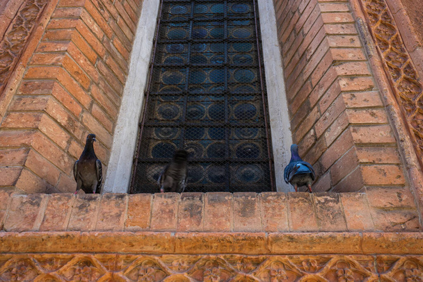 Italie, Venise, un pigeon assis sur le côté d'un bâtiment en brique - Photo, image