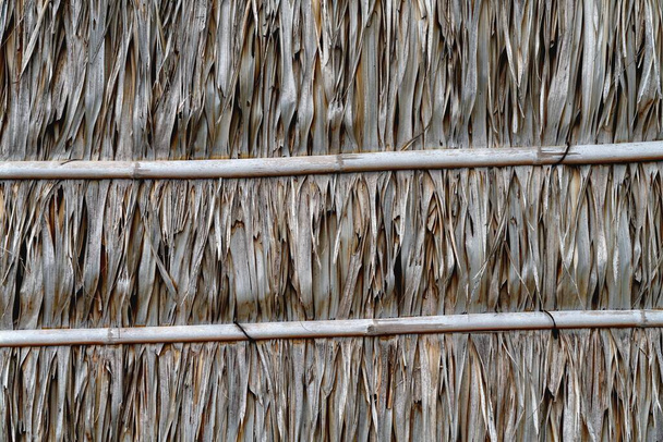 Techo o pared hecha de patrón de hojas de palma nypa seca - Foto, Imagen