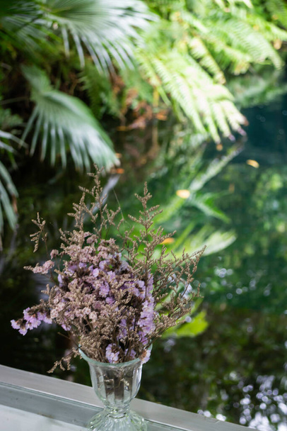 緑の植物は新鮮な環境を感じ、ストックフォト - 写真・画像