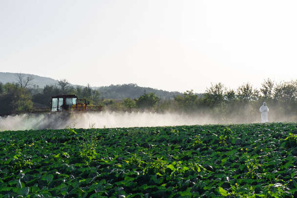 Трактор розбризкує хімію та пестициди на поле ферми з овочами
 - Фото, зображення