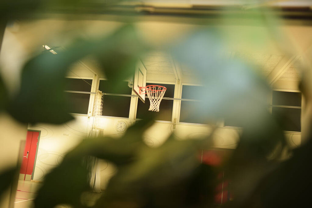 Eine grüne Pflanze bedeckt einen Basketballkorb - Foto, Bild