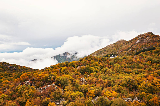 Beautiful autumn in Montenegro mountains - Photo, Image