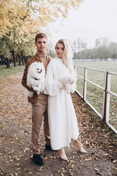 Beau jeune couple à l'automne promenades avec des chiens, poméranienne, dans le parc - Photo, image